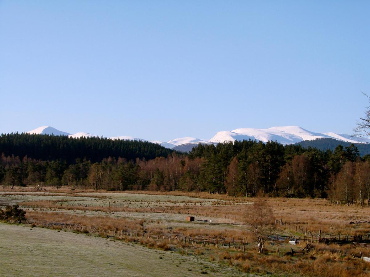 The Dell Of Abernethy - A Woodland Hideaway Apartment Nethy Bridge Exterior photo